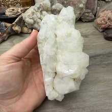 将图像加载到图库查看器中,<transcy>鱼眼石与辉石和绿色绿泥石</transcy>