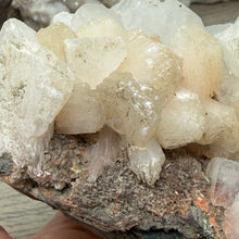 Bild in Galerie-Viewer laden, Apophyllite/Zeolite Cluster #32