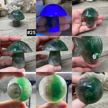 将图像加载到图库查看器中,Fluorite Mushroom #25
