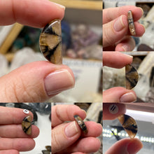 Load image into Gallery viewer, Andalusite / Chiastolite X-Small Cabochons