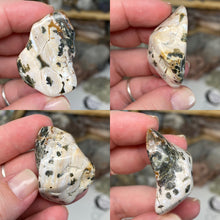 将图像加载到图库查看器中,Ocean Jasper Medium Rough Tumbles