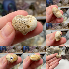 Bild in Galerie-Viewer laden, Picture Jasper Cartoon 1" Hearts