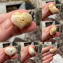 Bild in Galerie-Viewer laden, Picture Jasper Cartoon 1" Hearts
