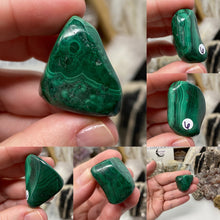 将图像加载到图库查看器中,Malachite Medium Tumbles