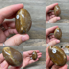 将图像加载到图库查看器中,<transcy>海洋碧玉棕榈石 #03</transcy>