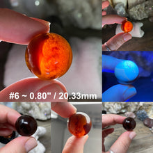 Bild in Galerie-Viewer laden, Amber 18-20mm Spheres