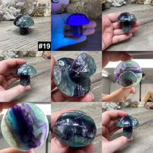 将图像加载到图库查看器中,Fluorite Mushroom #19