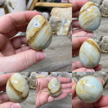 Bild in Galerie-Viewer laden, Black Gold Amazonite 2" Eggs