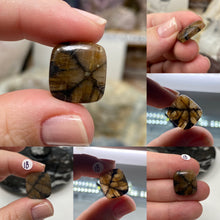 Load image into Gallery viewer, Andalusite / Chiastolite Small Cabochons