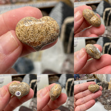 Bild in Galerie-Viewer laden, Picture Jasper Cartoon 1" Hearts
