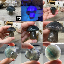 将图像加载到图库查看器中,Fluorite Mushroom #02