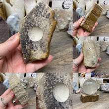 Bild in Galerie-Viewer laden, Petrified Wood Stand #31