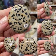 Load image into Gallery viewer, Dalmatian Jasper Pillow Palm Stones