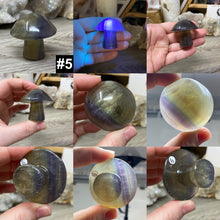 将图像加载到图库查看器中,Fluorite Mushroom #05