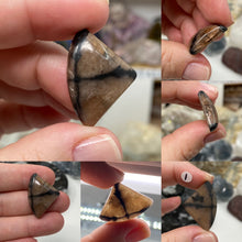 Load image into Gallery viewer, Andalusite / Chiastolite Large Cabochons
