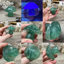 将图像加载到图库查看器中,Fluorite Mushroom #12