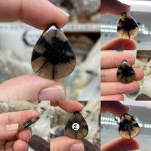 Load image into Gallery viewer, Andalusite / Chiastolite Large Cabochons