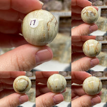 Bild in Galerie-Viewer laden, Green Onyx 1" Spheres