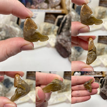 Bild in Galerie-Viewer laden, Amphibole Included Quartz Small/Medium Rough Tumbles