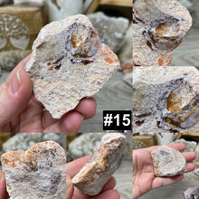 Bild in Galerie-Viewer laden, Rough Mexican Fire Opal in Matrix - Under 70g