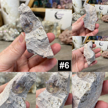 Bild in Galerie-Viewer laden, Rough Mexican Fire Opal in Matrix - Under 90g