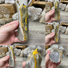 Bild in Galerie-Viewer laden, Bumblebee Jasper Obelisk Towers