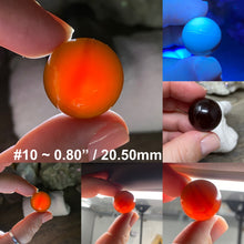 Bild in Galerie-Viewer laden, Amber 18-20mm Spheres