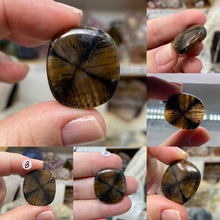 Load image into Gallery viewer, Andalusite / Chiastolite Large Cabochons