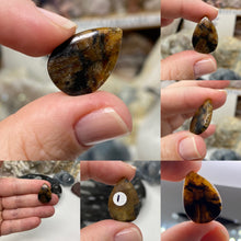 Load image into Gallery viewer, Andalusite / Chiastolite Small Cabochons