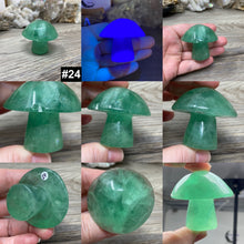 将图像加载到图库查看器中,Fluorite Mushroom #24