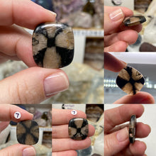 Load image into Gallery viewer, Andalusite / Chiastolite Large Cabochons