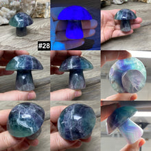 将图像加载到图库查看器中,Fluorite Mushroom #28