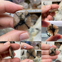 Load image into Gallery viewer, Andalusite / Chiastolite Large Cabochons