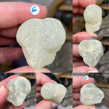 Bild in Galerie-Viewer laden, Prehnite with Epidote Large Nodules from Mali Africa