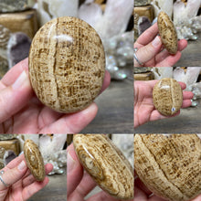 Load image into Gallery viewer, Brown Aragonite Pillow Palm Stone #02