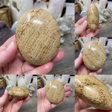 将图像加载到图库查看器中,<transcy>文石星团#03</transcy>