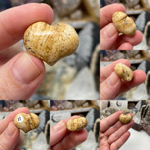 Bild in Galerie-Viewer laden, Picture Jasper Cartoon 1" Hearts