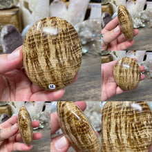 将图像加载到图库查看器中,<transcy>文石星团#03</transcy>