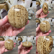 将图像加载到图库查看器中,<transcy>文石星团#03</transcy>