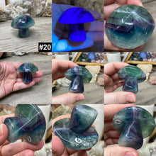 Chargez l'image dans la visionneuse de la galerie, Fluorite Mushroom #20