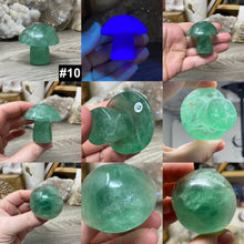 将图像加载到图库查看器中,Fluorite Mushroom #10