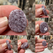 Bild in Galerie-Viewer laden, Lepidolite 1" Coins