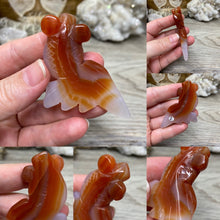 Bild in Galerie-Viewer laden, Carnelian Agate Fish