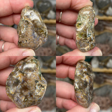 Bild in Galerie-Viewer laden, Ocean Jasper Large Rough Tumbles
