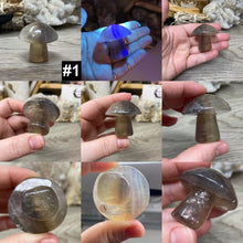 将图像加载到图库查看器中,Fluorite Mushroom #01