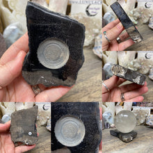 Bild in Galerie-Viewer laden, Petrified Wood Stand #06