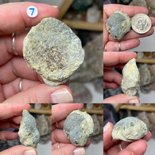 Bild in Galerie-Viewer laden, Prehnite with Epidote X-Large Nodules from Mali Africa
