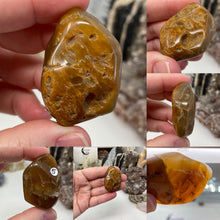 Bild in Galerie-Viewer laden, Amphibole Included Quartz Large/X-Large Rough Tumbles