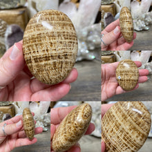 Load image into Gallery viewer, Brown Aragonite Pillow Palm Stone #01