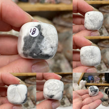 Bild in Galerie-Viewer laden, Howlite 20-25mm Tumbles (Medium to Large Size)